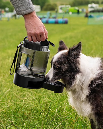 dog water bottle portable water bottle for dogs collapsible dog bowls portable water bottle for dogs