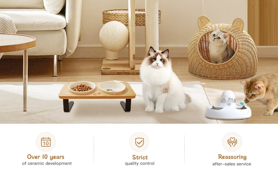 elevated cat bowls