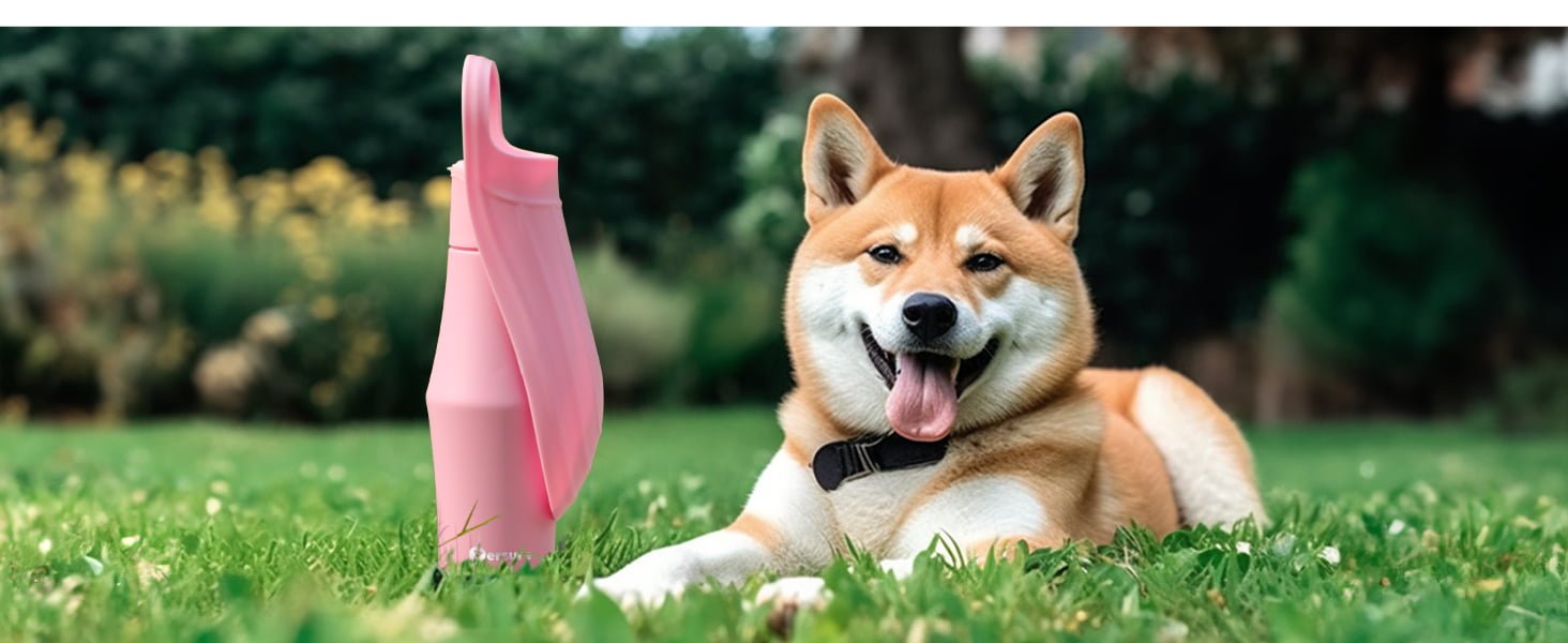 dog water bottle pink