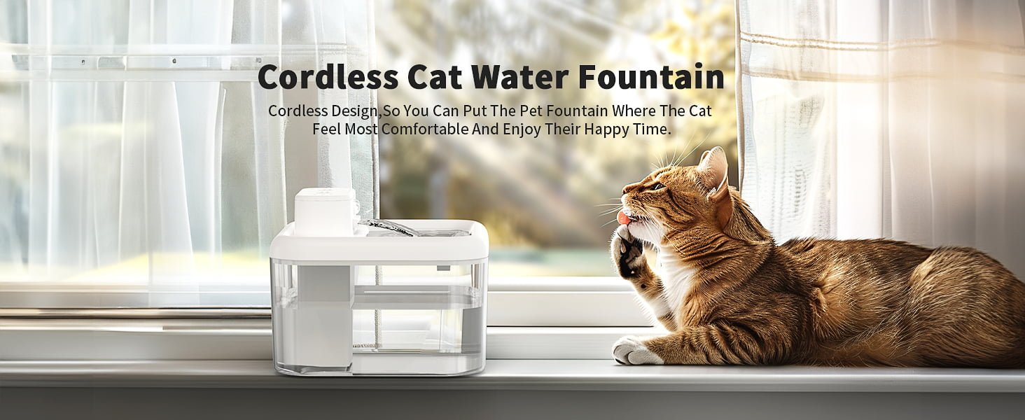 water dispenser for cats
