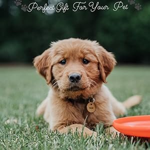 Perfect gift for your pet