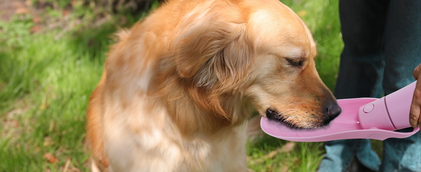 dog water bottle