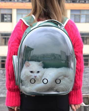 cat backpack carrier