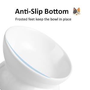 Anti-Slip Bottom