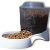Pets Small Gravity Auto Feeder for Cats/Dogs, 3 Pound Capacity, GRAY (Pack of 1)
