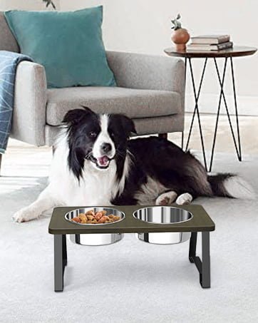 elevated dog bowls for medium dogs