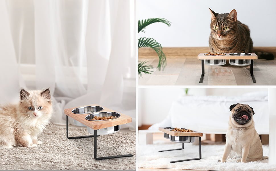 pet food and water bowl