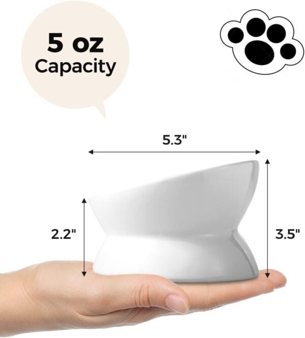 Elevated Cat Food Bowl, 5 Oz Ceramic Raised and Tilted Water Bowl, Anti Vomiting and Protect Pets’ Spines Dishes for Small Dog, Fat Faced Cat, Kitten (White, 1 Pack)