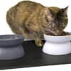 Raised Cat Food Bowl Collection/Stress Free Pet Feeder and Waterer and Slow Feed Bowls