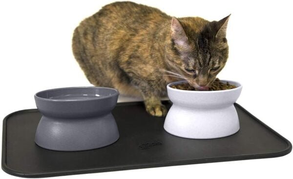 Raised Cat Food Bowl Collection/Stress Free Pet Feeder and Waterer and Slow Feed Bowls