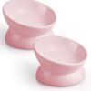 Elevated Cat Food Bowl, 5 Oz Ceramic Raised and Tilted Water Bowl, Anti Vomiting and Protect Pets’ Spines Dishes for Small Dog, Fat Faced Cat, Kitten (White, 1 Pack)