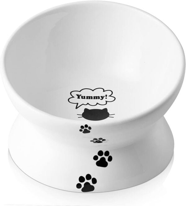 Cat Bowl Anti Vomiting, Raised Cat Food Bowls, Tilted Elevated Cat Bowl, Ceramic Pet Food Bowl for Flat Faced Cats, Small Dogs, Protect Pet’s Spine, Dishwasher Safe