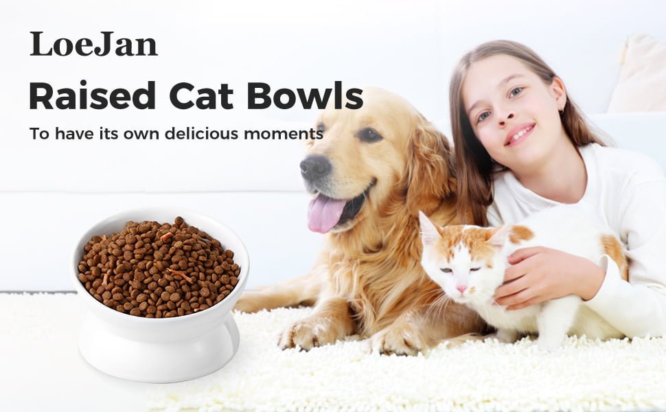 Raised Cat Bowls