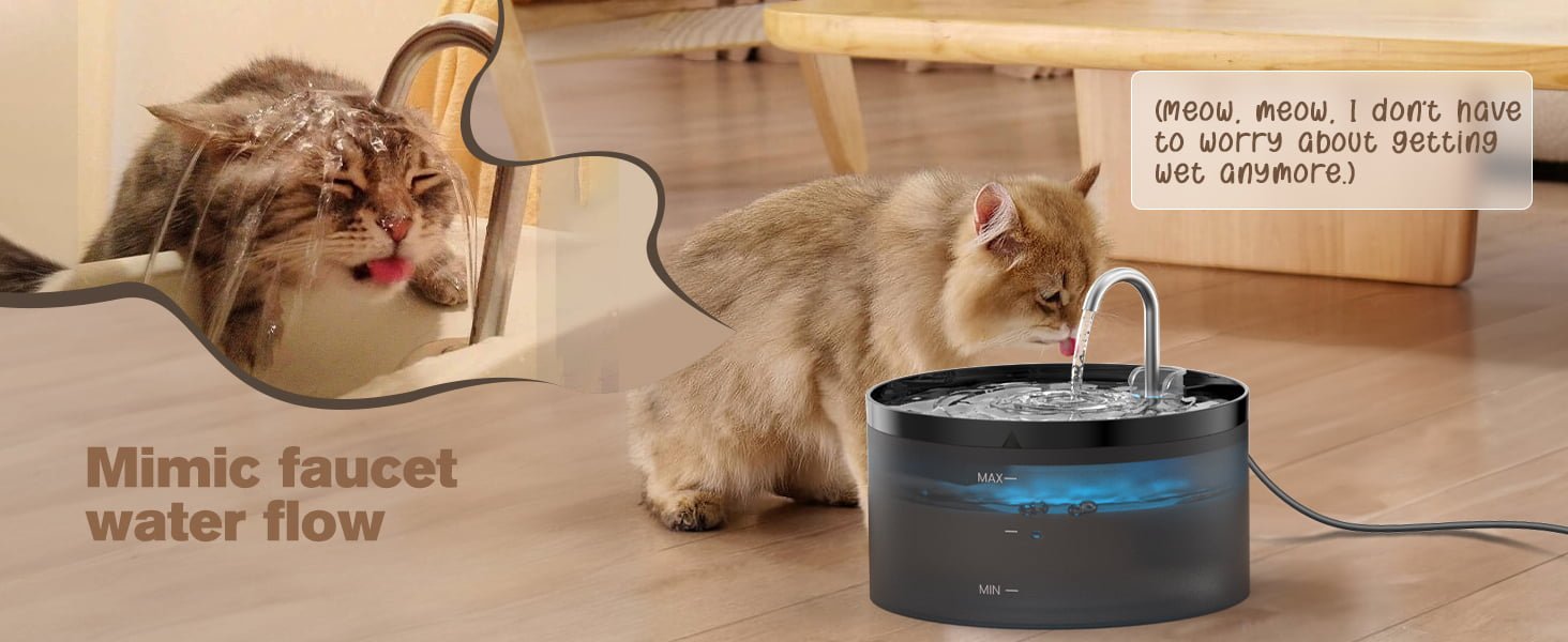 best cat water fountain best water fountain for cats black cat fountain black cat water fountain