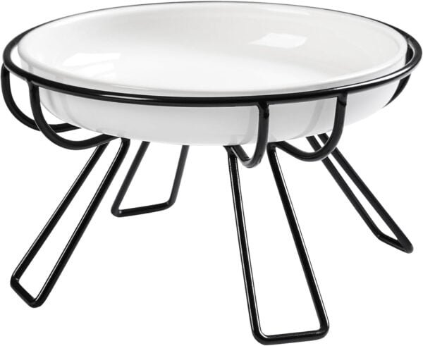 Cat Bowls, Elevated Cat Bowl, Raised Ceramic Cat Dish with Metal Stand, Pet Water or Food Feeding Station for Indoor Cats, Kitten, Puppies and Small Dogs(2 Pack)