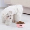 Stainless Steel Dog Bowls, Nonslip Rubber Bottom No Spill Proof Skid Metal Insulated Dog Bowls for Large Medium Small Breed Dogs (Pink, 3.6 Cups/29 OZ)