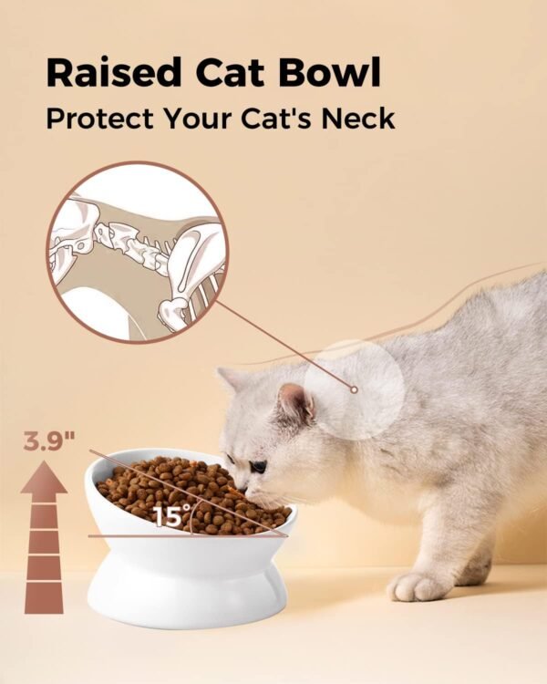 Elevated Cat Food Bowl, 5 Oz Ceramic Raised and Tilted Water Bowl, Anti Vomiting and Protect Pets’ Spines Dishes for Small Dog, Fat Faced Cat, Kitten (White, 1 Pack)
