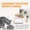 Elevated Cat Ceramic Bowls Stand for Food and Water, Small Dog, Anti Vomit, Indoor cats, Tilted Feeding Position, Full Bamboo Body Stand with Food Grade, Whisker Friendly Dish for Cats and Puppy
