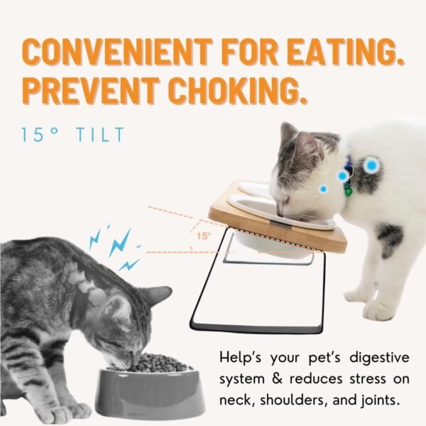 Elevated Cat Ceramic Bowls Stand for Food and Water, Small Dog, Anti Vomit, Indoor cats, Tilted Feeding Position, Full Bamboo Body Stand with Food Grade, Whisker Friendly Dish for Cats and Puppy