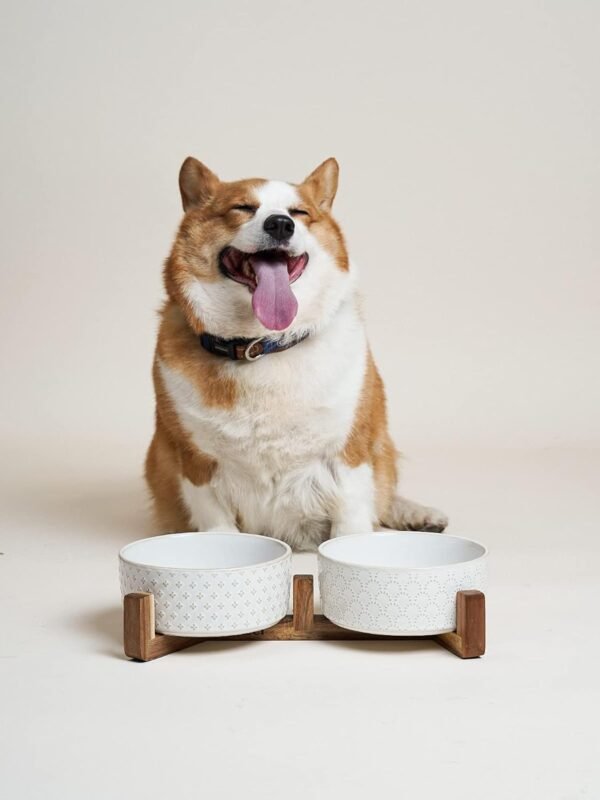 Dog Bowls Ceramic, Bowl Set with Acacia Wood Stand, 3 Cups Dog Food and Water Bowl for Small Medium Sized, Weighted Dog, Pet Bowls