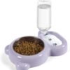 Dog Bowls, Cat Food and Water Bowl Set with Water Dispenser and Stainless Steel Bowl for Cats and Small Dogs – Pink