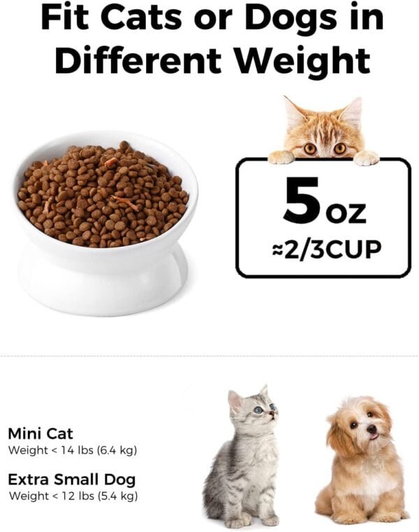Elevated Cat Food Bowl, 5 Oz Ceramic Raised and Tilted Water Bowl, Anti Vomiting and Protect Pets’ Spines Dishes for Small Dog, Fat Faced Cat, Kitten (White, 1 Pack)