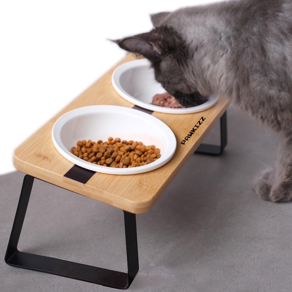 Elevated Cat Ceramic Bowls Stand for Food and Water, Small Dog, Anti Vomit, Indoor cats, Tilted Feeding Position, Full Bamboo Body Stand with Food Grade, Whisker Friendly Dish for Cats and Puppy