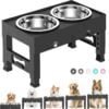 61uSwqa8oQL._AC_SL1500 Elevated Dog Bowls – The Perfect Feeding Solution for Dogs