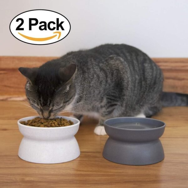 Raised Cat Food Bowl Collection/Stress Free Pet Feeder and Waterer and Slow Feed Bowls