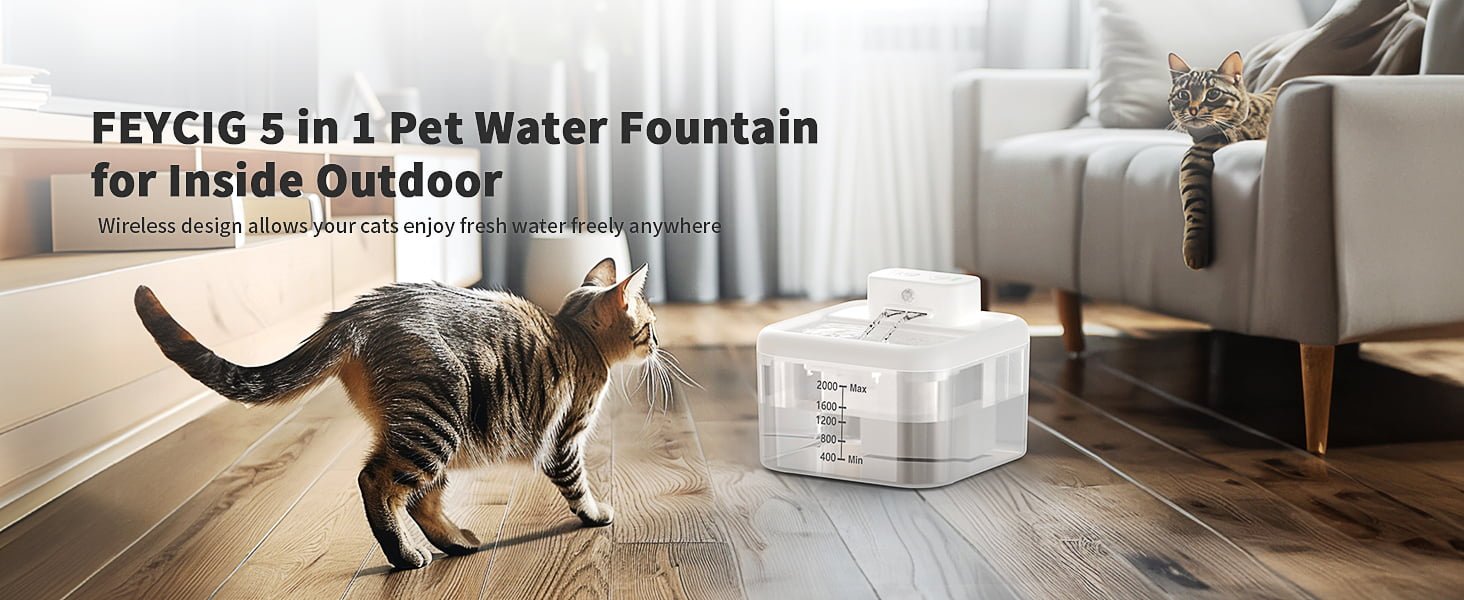 cat water fountains