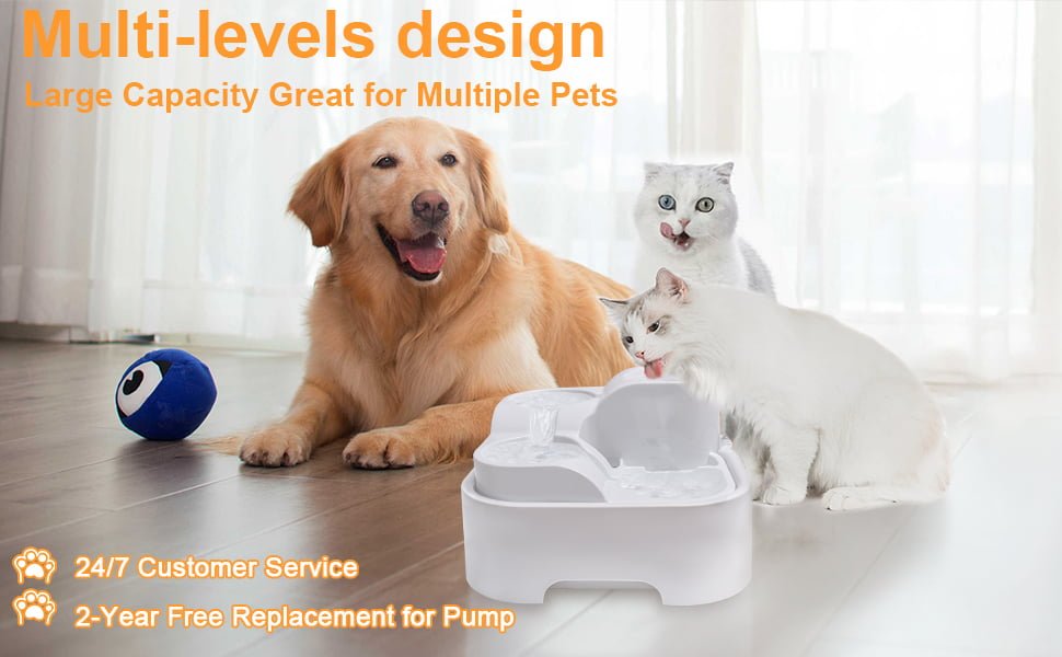cat water fountains