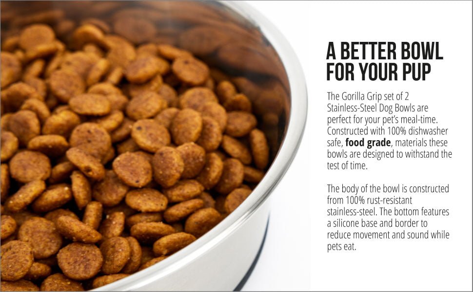 a better bowl for your pup