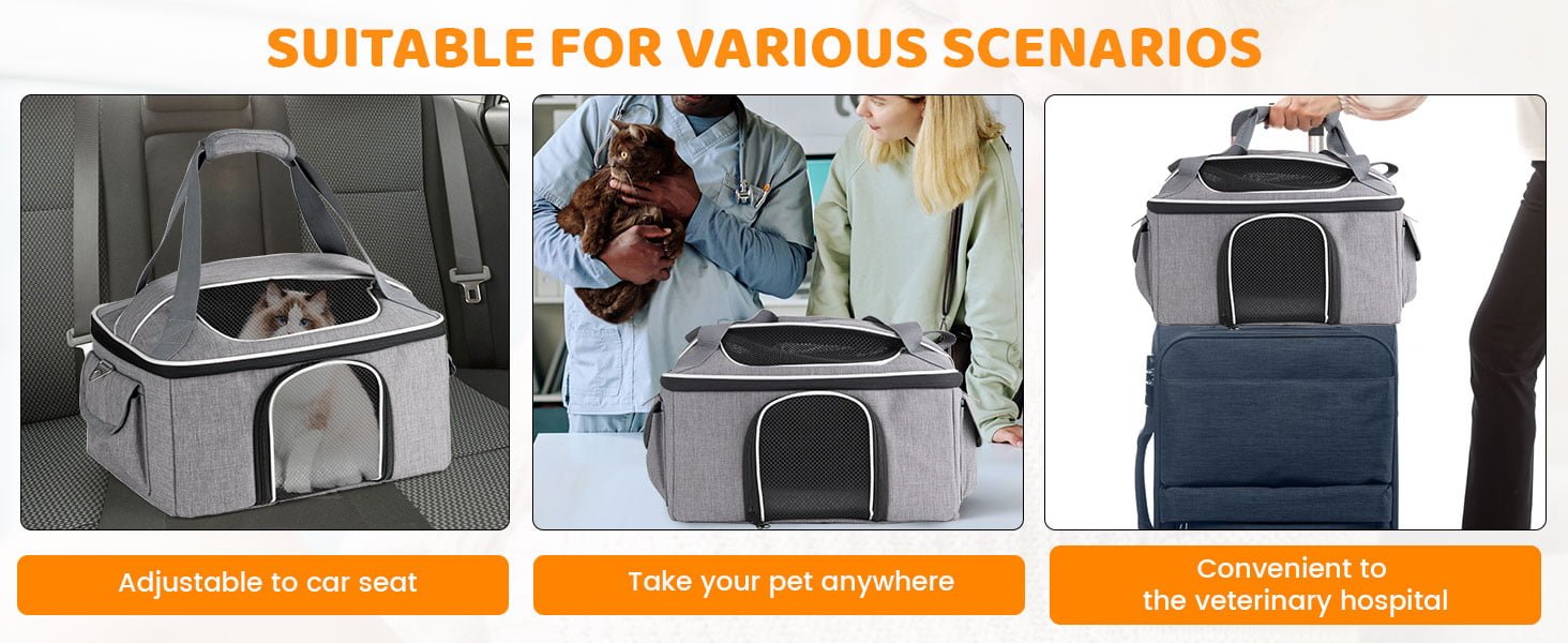 cat travel carrier