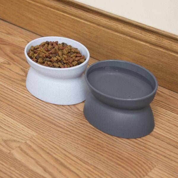 Raised Cat Food Bowl Collection/Stress Free Pet Feeder and Waterer and Slow Feed Bowls