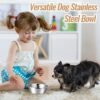 7153j4ltA7L._AC_SL1500 15 Pcs Pets Bowl Bulk Stainless Steel Dog and Cat Bowls Metal Small Puppy Raised Food and Water Dish for Cage(15 oz)