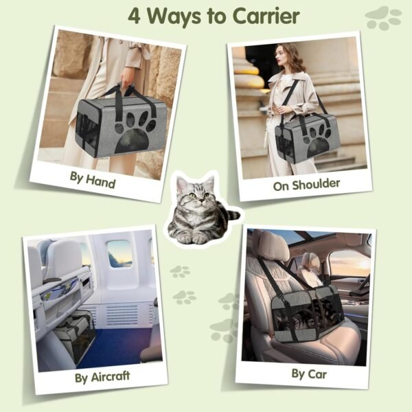 Airline-Approved Soft Pet Carrier