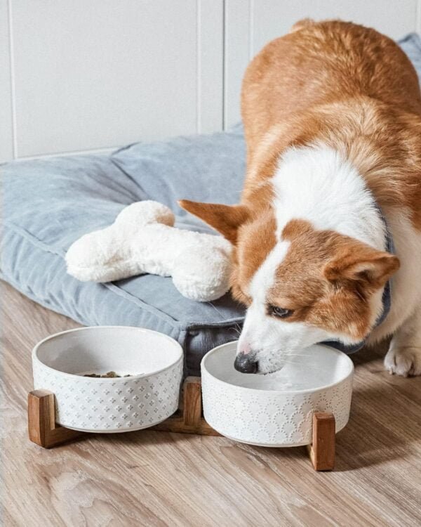 Dog Bowls Ceramic, Bowl Set with Acacia Wood Stand, 3 Cups Dog Food and Water Bowl for Small Medium Sized, Weighted Dog, Pet Bowls