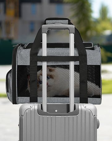 Cat Travel Carrier