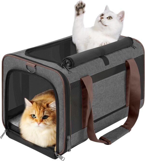 Pet Carrier for Large Cats 20 lbs+ / Soft Sided Small Dog Travel Carrier Top Load/Collapsible Carrier Bag for Big Cat / 2 Kittens Sturdy Transport Carrier Long Trips/Medium Cats 15 pounds