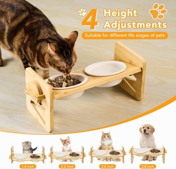 71DYsei6I5L._AC_SL1500 Elevated Pet Bowls for Cats & Small Dogs, Natural Bamboo with Ceramic Raised Small Dog Bowls, Cat Food Dish Bowls Elevated and 15° Tilted, Whisker Friendly, Dishwasher Safe