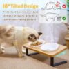 Ceramic Elevated Cat Bowls, 10?? Tilted Raised Cat Food Bowls for Food and Water, Indoor Cat Dishes with Bamboo Stand Anti Vomiting for Cats and Puppy, Pet Bowl Set with Anti Slip Feet, Dishwasher Safe