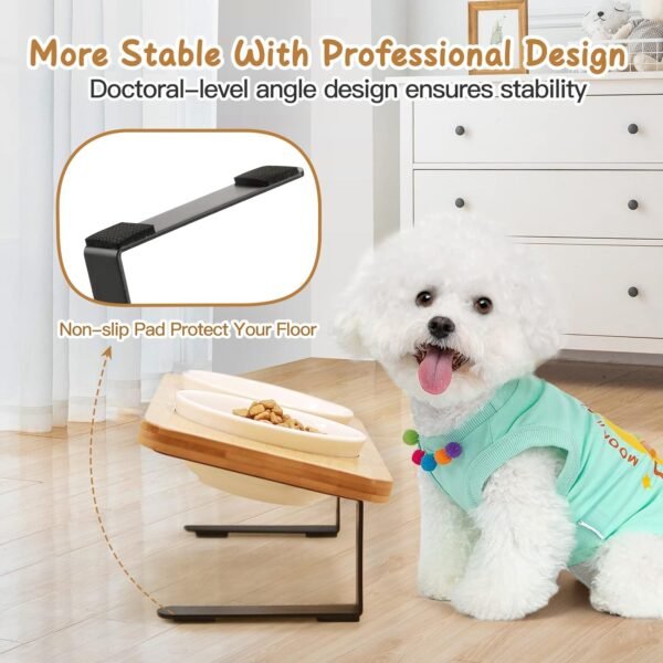 Ceramic Elevated Cat Bowls, 10?? Tilted Raised Cat Food Bowls for Food and Water, Indoor Cat Dishes with Bamboo Stand Anti Vomiting for Cats and Puppy, Pet Bowl Set with Anti Slip Feet, Dishwasher Safe