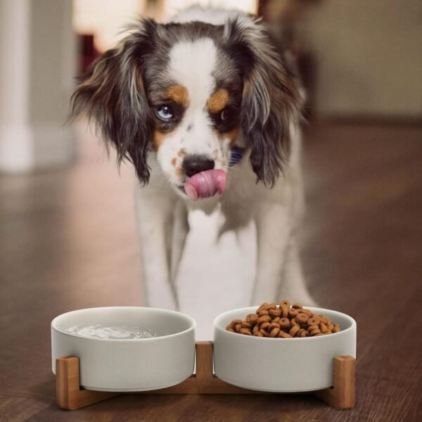 71IGgF0jyAL._AC_SL1500 Ceramic Dog and Cat Bowl with Wood Stand Non-Slip Matte Glaze Weighted Food Water Set for Cats &Small Dogs 13.5OZ