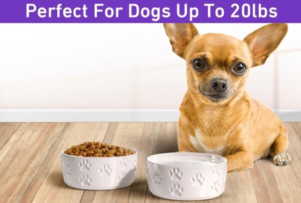 Ceramic Dog Bowl Set with Anti-Slip Rings – 5″ Round x 2″ Tall Set of 2 Ceramic Dog Bowls for Small Dogs – Small Dog Bowls – Dog Food and Water Bowl – White Dog Food Bowls – Dog Bowls Small Size Dog