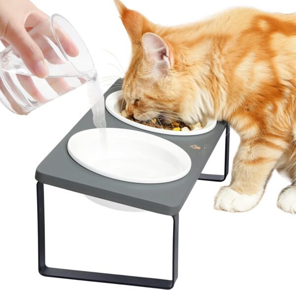 Ceramic Elevated Cat Bowls, Raised Puppy Dishes for Food and Water, Tilted Bamboo Stand for Anti Vomiting, Indoor 5.5 inch Wide Double Dish Orthopedic Anti-Vomiting (Brown)