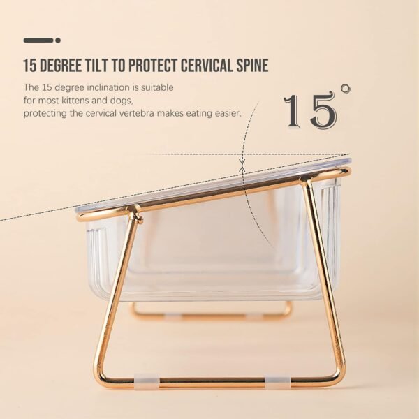 Elevated Cat Bowls, 5.5 inches Food & Water Bowls 15° Tilted Raised Food Feeding Dishes with Iron Stand for Cats and Puppy, with 2 Large Bowl and 4 Anti Slip Feet, Dishwasher Safe