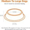 Basics Stainless Steel Non-Skid Pet Dog Water And Food Bowl, 2-Pack (10 x 2.8 Inches), Each Holds Up to 4 Cups