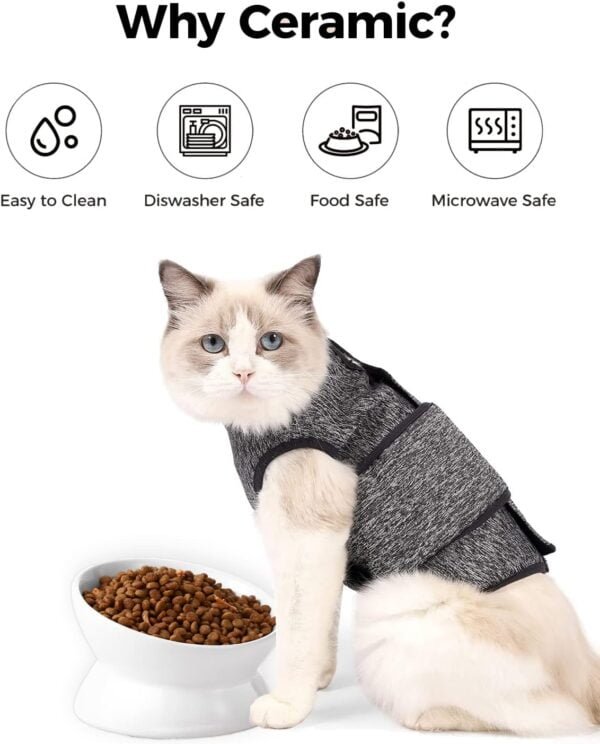 Elevated Cat Food Bowl, 5 Oz Ceramic Raised and Tilted Water Bowl, Anti Vomiting and Protect Pets’ Spines Dishes for Small Dog, Fat Faced Cat, Kitten (White, 1 Pack)