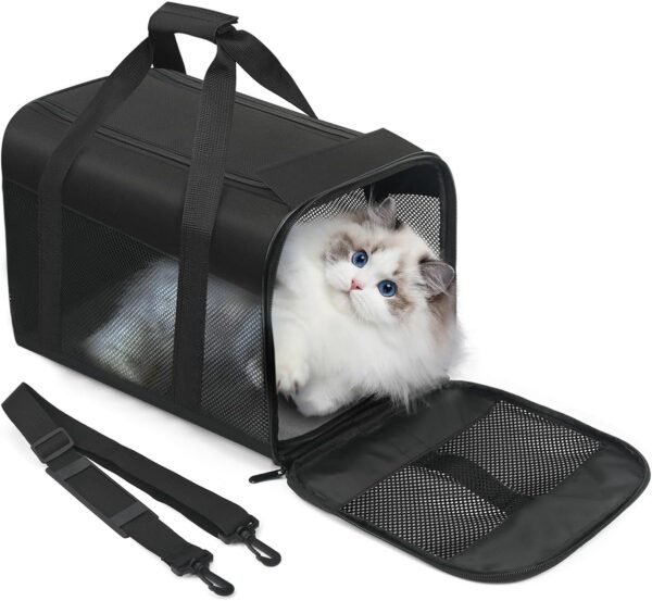 Airline-Approved Soft Pet Carrier
