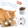 71h8Q3i8gEL._AC_SL1500 2 Pcs Ceramic Elevated Cat Bowls Tilted Elevated Raised Cat Bowls Anti Vomit Cat Bowls for Indoor Cats Stress Free Water Dish Feeder for Cats Puppies, Heart Shaped(Pearly White)